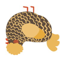 A bark and honey chicken with a lace pattern