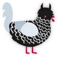 A sable and mist chicken with a lace pattern