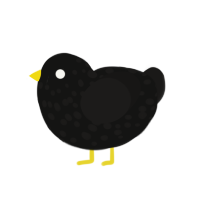 Common Blackbird, a black and sable chicken with a speckle pattern