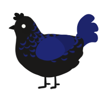 A sable and navy chicken with a half-lace pattern