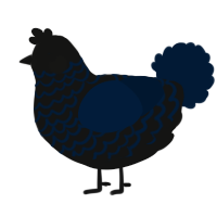 A black and tumblr chicken with a lace pattern