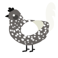 A grey and white chicken with a speckle pattern