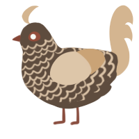 A bark and beige chicken with a lace pattern