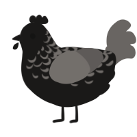 A sable and grey chicken with a half-lace pattern