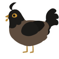 A bark and sable chicken with a head pattern