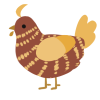 A russet and honey chicken with a bar pattern