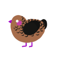 (unnamed), a brown and black chicken with a half-lace pattern