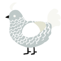A silver and white chicken with a lace pattern