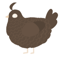 A bark chicken with a lace pattern