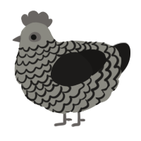 A ash and sable chicken with a lace pattern