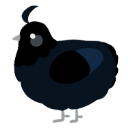 A cream chicken with a head pattern