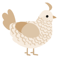 A cream and beige chicken with a lace pattern