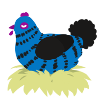 A sapphire and sable chicken with a bar pattern