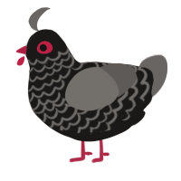 A sable and grey chicken with a lace pattern
