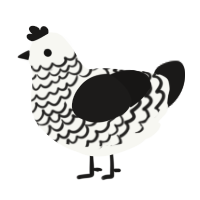 Sifting, a white and sable chicken with a lace pattern