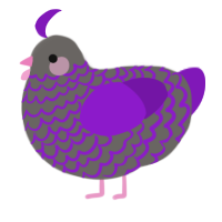 A grey and violet chicken with a lace pattern