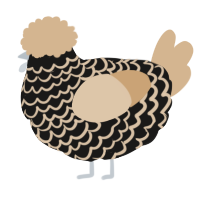 A sable and beige chicken with a lace pattern