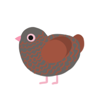 (unnamed), a grey and russet chicken with a lace pattern