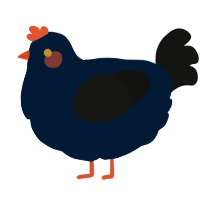 A tumblr and black chicken