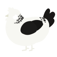 A white and sable chicken with a neck-band pattern