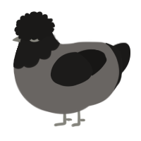 A grey and sable chicken with a head pattern
