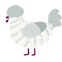 A white and silver chicken with a bar pattern