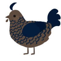 A bark and tumblr chicken with a lace pattern