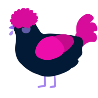 A tumblr and fuchsia chicken