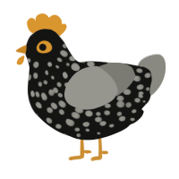 A black and ash chicken with a speckle pattern