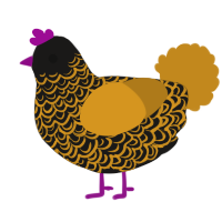 A sable and ochre chicken with a double-lace pattern