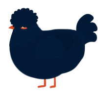A tumblr chicken with a head pattern