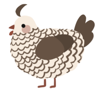 A cream and bark chicken with a lace pattern