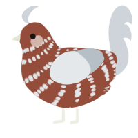 A russet and mist chicken with a bar pattern
