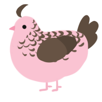 A rose and bark chicken with a half-lace pattern