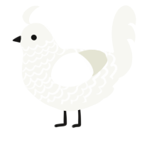 A white chicken with a lace pattern