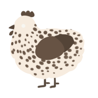 A cream and bark chicken with a speckle pattern