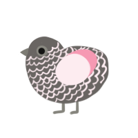 (unnamed), a grey and rose chicken with a lace pattern