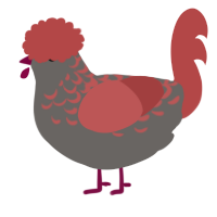 A grey and red chicken with a half-lace pattern
