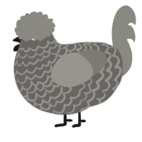 A grey and ash chicken with a lace pattern