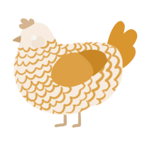 A cream and orange chicken with a lace pattern