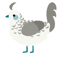 A white and ash chicken with a half-lace pattern