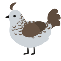 A mist and bark chicken with a half-lace pattern