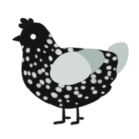A black and silver chicken with a speckle pattern