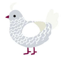 A mist and white chicken with a lace pattern