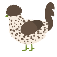 A cream and bark chicken with a speckle pattern