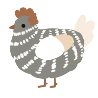 A ash and cream chicken with a bar pattern