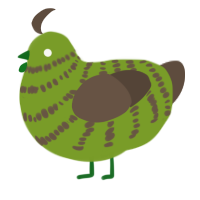 Kiwi, a chartreuse and bark chicken with a bar pattern