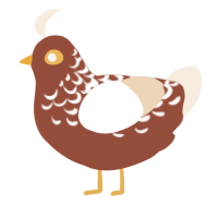 A russet and cream chicken with a half-lace pattern