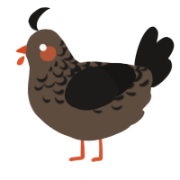 A bark and sable chicken with a half-lace pattern