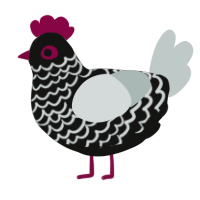 A black and silver chicken with a lace pattern